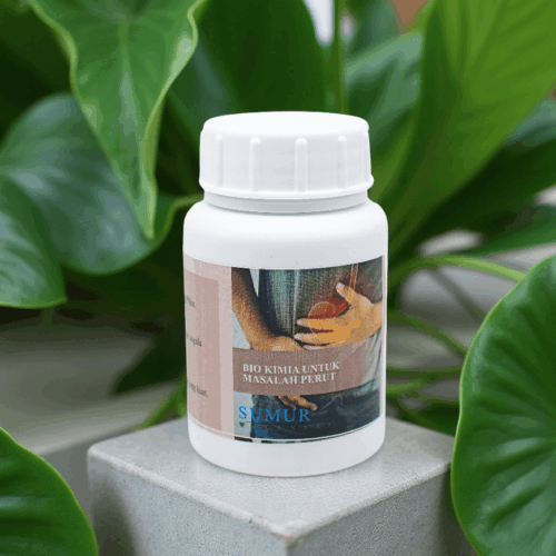 Biokimia untuk Masalah Perut