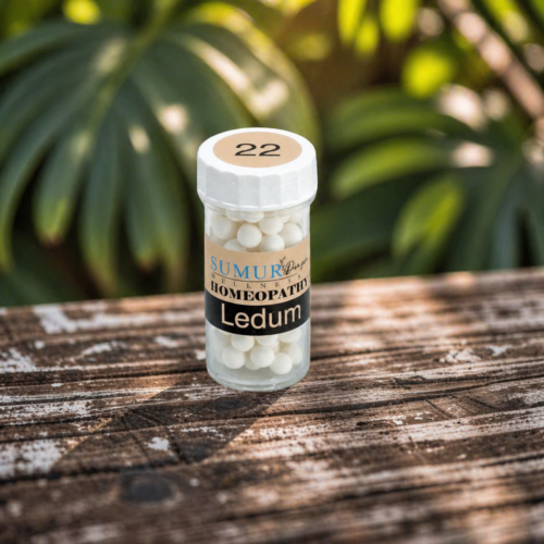 Ledum - Kit Kecemasan Homeopathy 30 (Limited Edition)