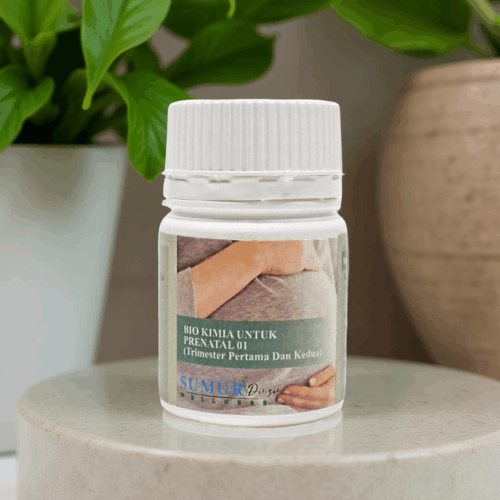Biokimia untuk Prenatal 01 (trimester pertama & kedua)