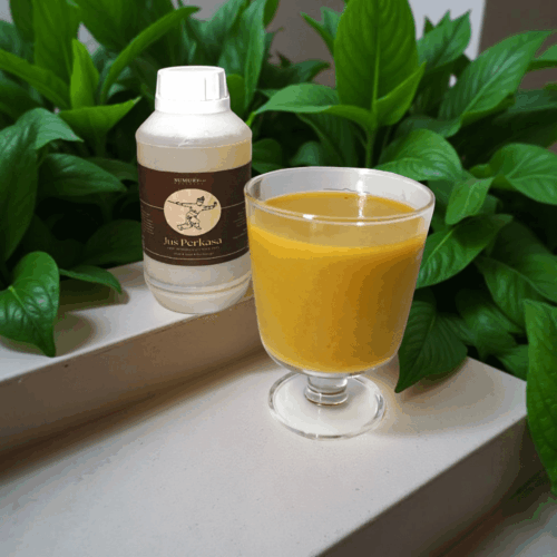 Jus Jamu Perkasa 500ml