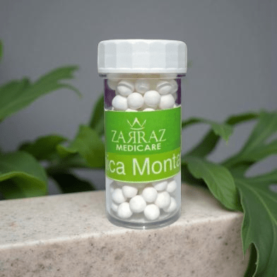 04 - Arnica Montana - Kit Kecemasan Homeopathy 30