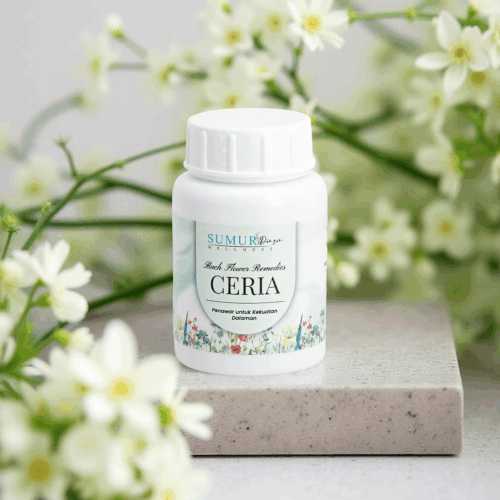 Ceria - Penawar bagi yang kesepian kerana sikap sendiri & ingin jalani hidup dengan ceria