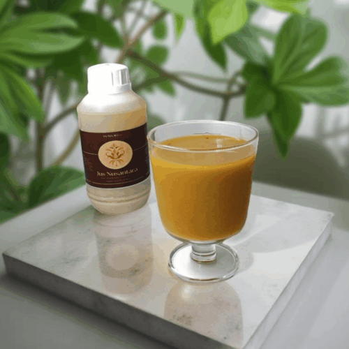 Jus Jamu Nusantara 500ml