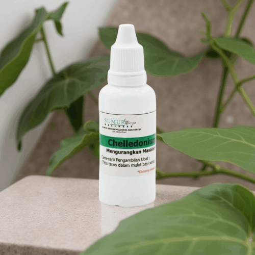 Chelidonium Majus - Set Homeopathy Wanita Berpantang & Bersalin