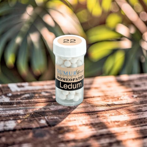 Ledum - Kit Kecemasan Homeopathy 30 (Limited Edition)