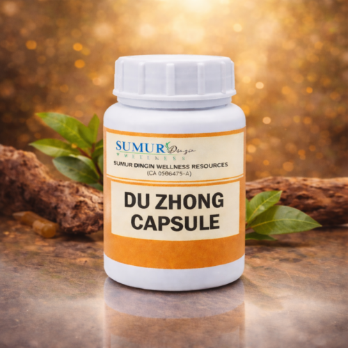 DU ZHONG (EUCOMMIA)