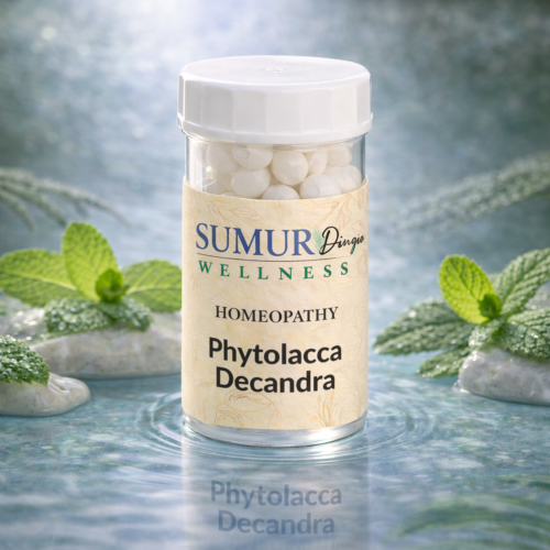 Phytolacca Decandra