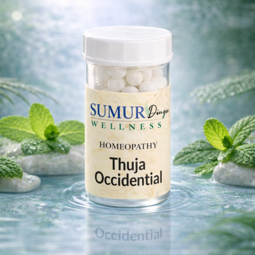 Thuja Occidential