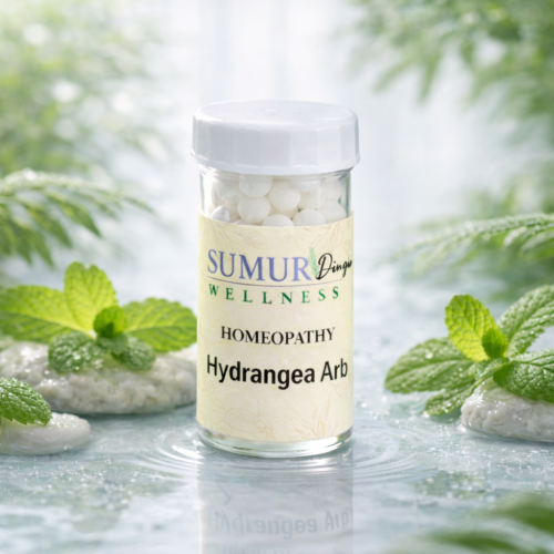 Hydrangea Arb