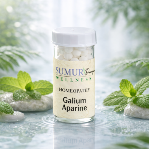 Hamammelis Virginica