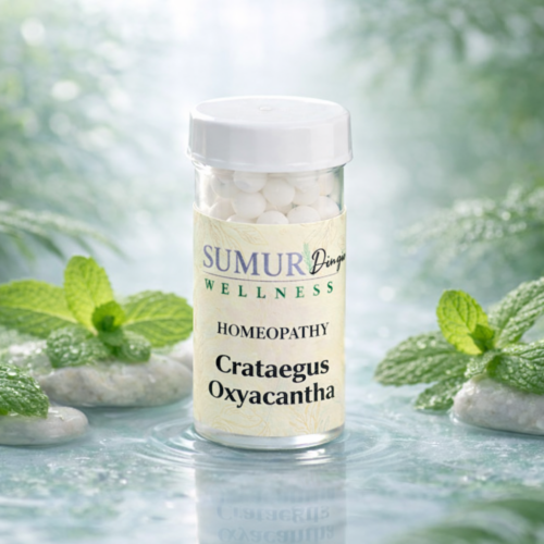 Crataegus Oxycanthua