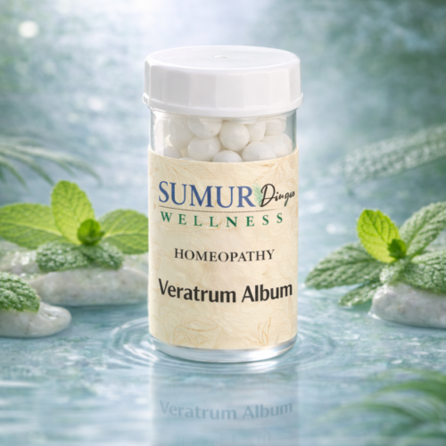 Veratrum Album