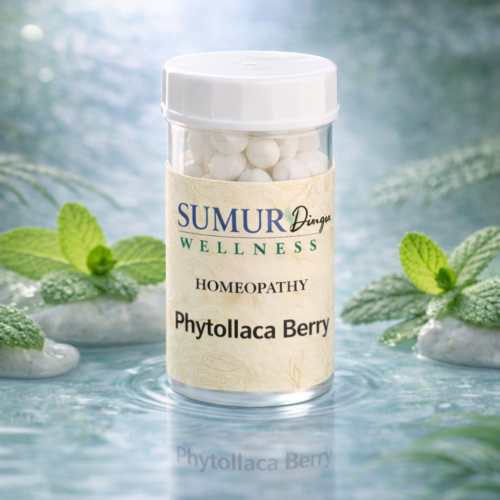 Phytollaca Berry